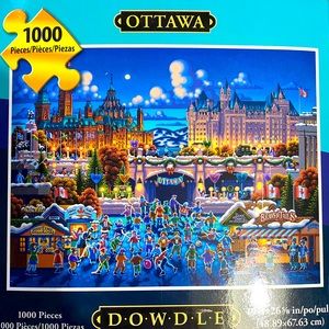 Puzzle 1000 pieces